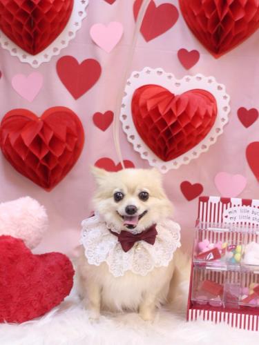 20240223ふうちゃん